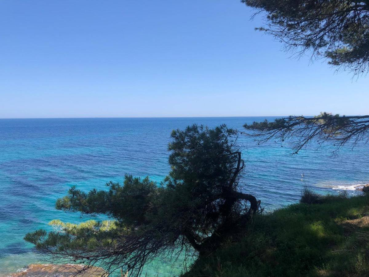 Fabiola 1 Leilighet Calpe Eksteriør bilde